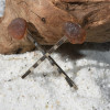 Brown Sea Glass Bobby Pins