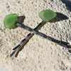 Green Sea Glass Hair Pins (Set of 2) - Made to Order