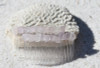 Purple Sea Glass Hair Combs