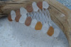Surf Tumbled Brown and White Sea Glass Hair Combs 