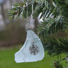 Snowflake Christmas Ornament 