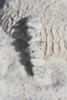 White Howlite Stone Hair Clip 