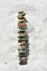 Rhyolite Stone French Barrette 