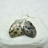 Dalmatian Stone Earrings