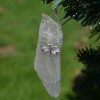 Dragonfly Christmas Ornament