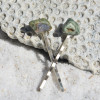 Rhyolite Stone Hair Pins