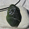 Custom Handmade Genuine Sea Glass Necklace with a Silver Claddagh Charm - Choose the Color - Frosted, Green, Brown, or Aqua