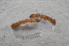 Genuine Surf-Tumbled Amber Brown Sea Glass Hair Combs (Quantity of 2)