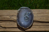 Custom Handmade Agate Slice Ornament with Silver Dragon Charm - Choose Your Agate Slice Color