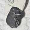 Bow and Arrow on a Surf Tumbled Sea Glass Ornament - Choose Your Color Sea Glass Frosted, Green, and Brown - Made to order