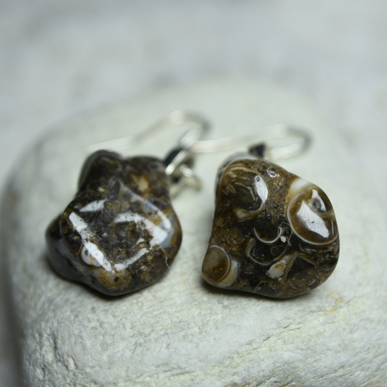 Turritella Stone Earrings