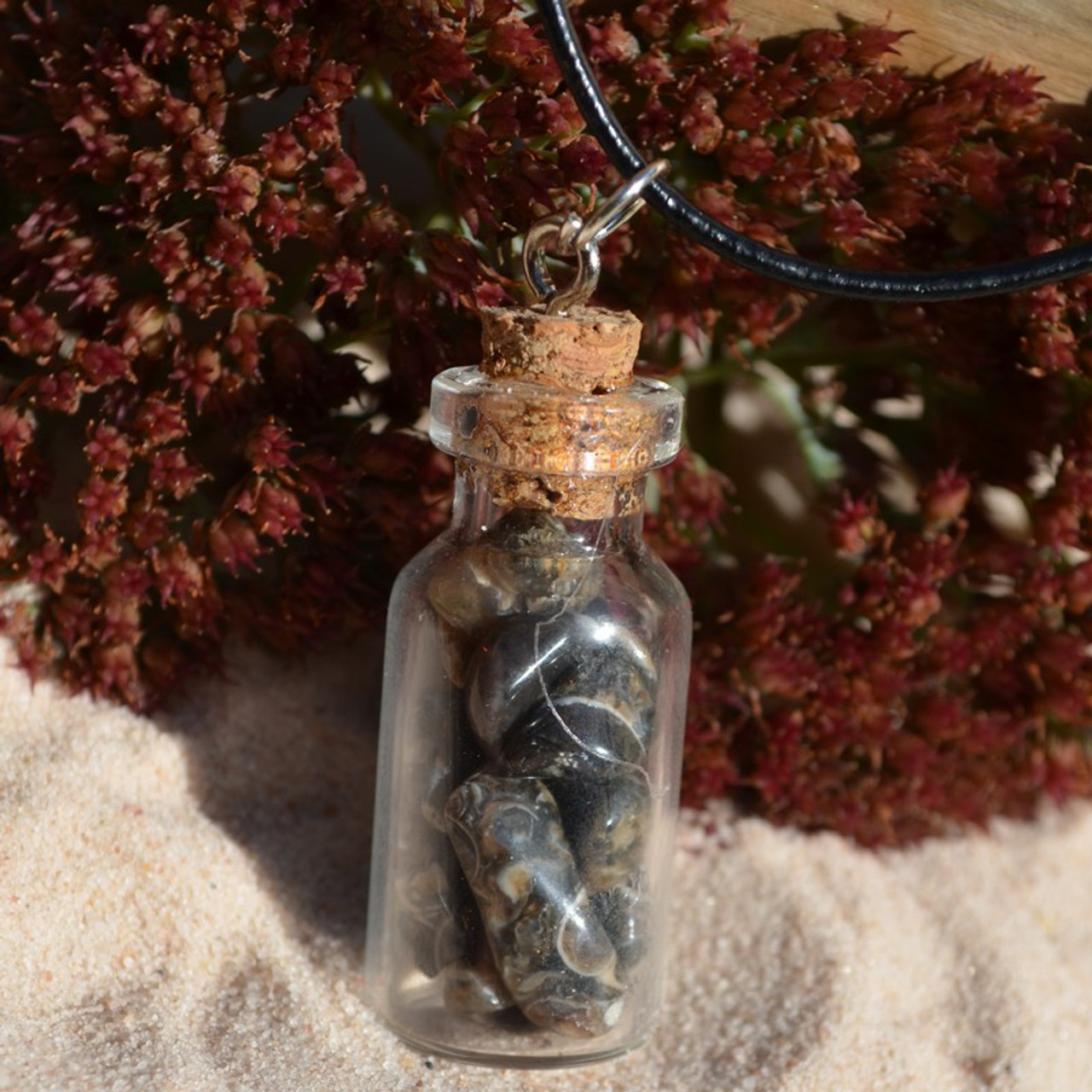 Turritella Stones in a Glass Vial on a Leather Cord Necklace