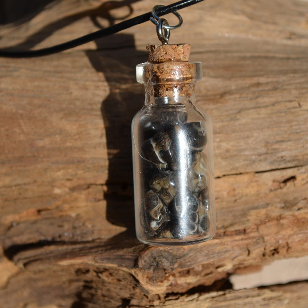 Turritella Stones in a Glass Vial on a Leather Cord Necklace