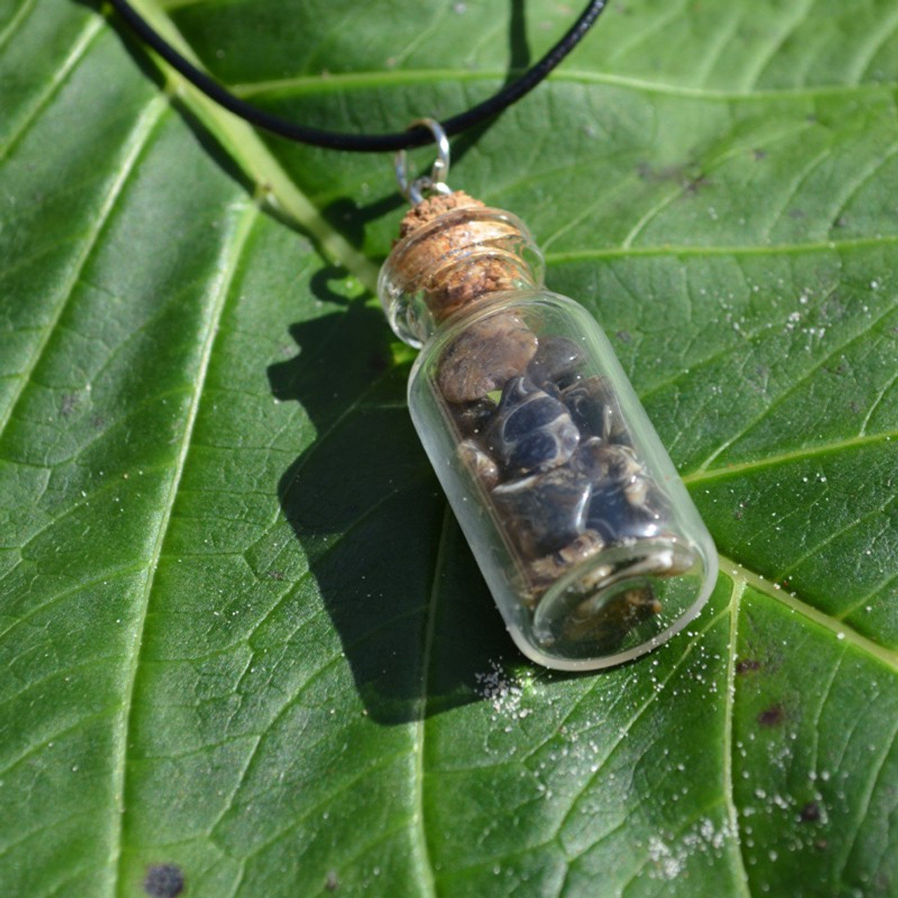 Turritella Stones in a Glass Vial on a Leather Cord Necklace
