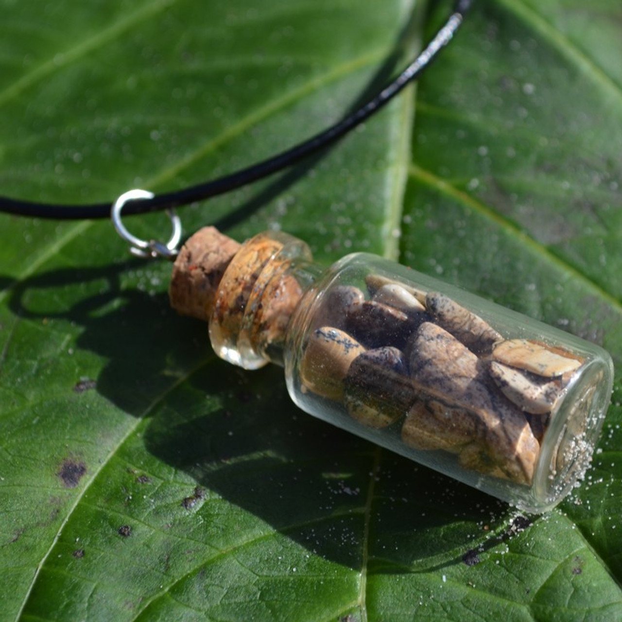 Picture Jasper Stones in a Glass Vial on a Leather Cord Necklace