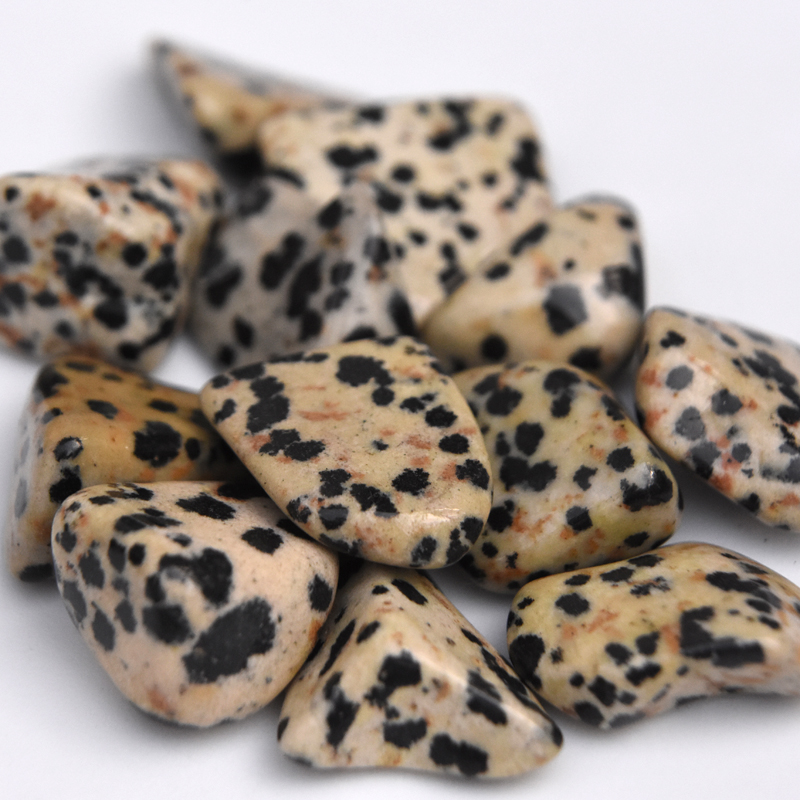 Dalmatian Jasper Properties