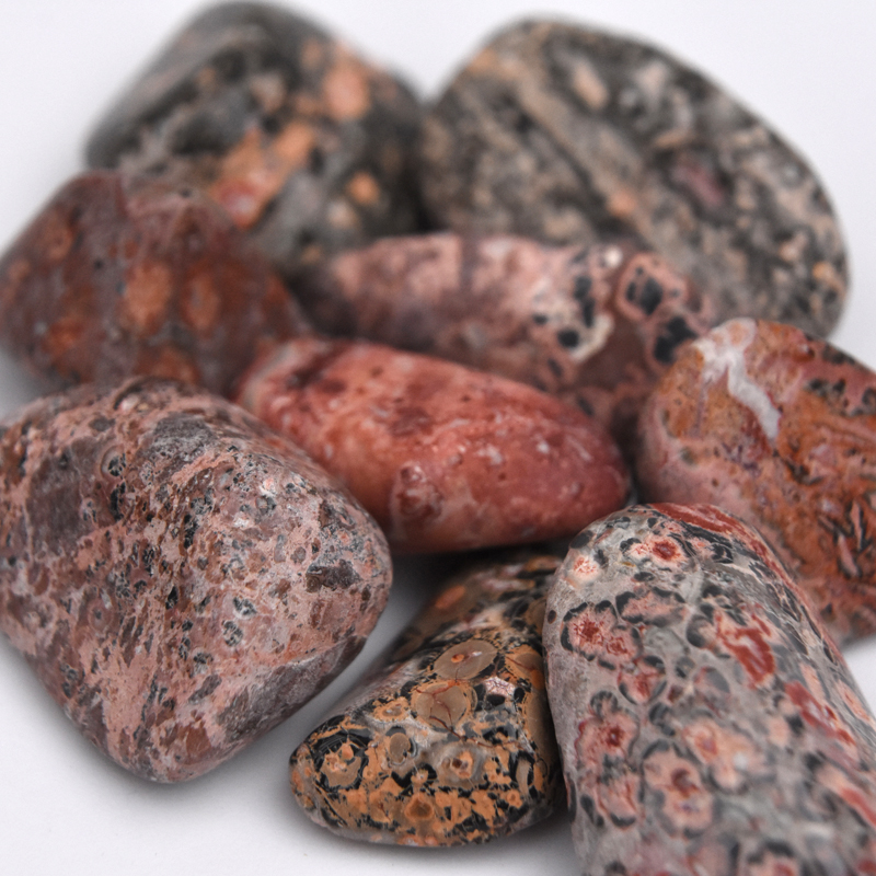 leopard skin jasper spiritual meaning with family