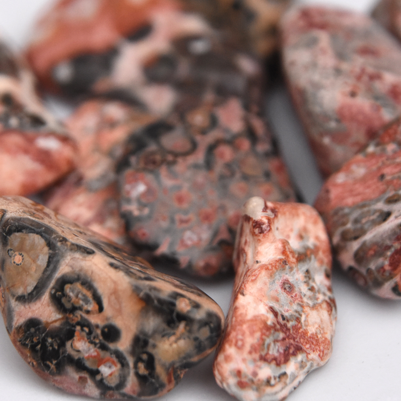 Leopardskin Jasper