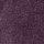 Black Raspberry