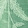 Prairie Green