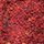 Dover Red Multi