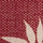 Rosa Red Multi