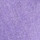 Bright Aster