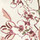 Ivory/Blush