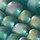 Light Garden Green