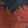 Black Multi