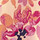 Pink Multi