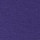 Bright Aster