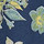 Midnight Navy Multi