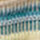 Ranch Blue Multi