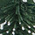 Green Multi