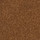 Cinnamon