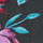 Black/Midnight Violet
