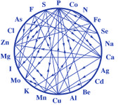 Element Relation Chart