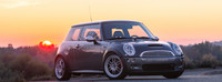 Lower Control Arm Pillowballs for R50/R53 Mini
