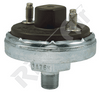 Pneumatic Switch (RV13241)