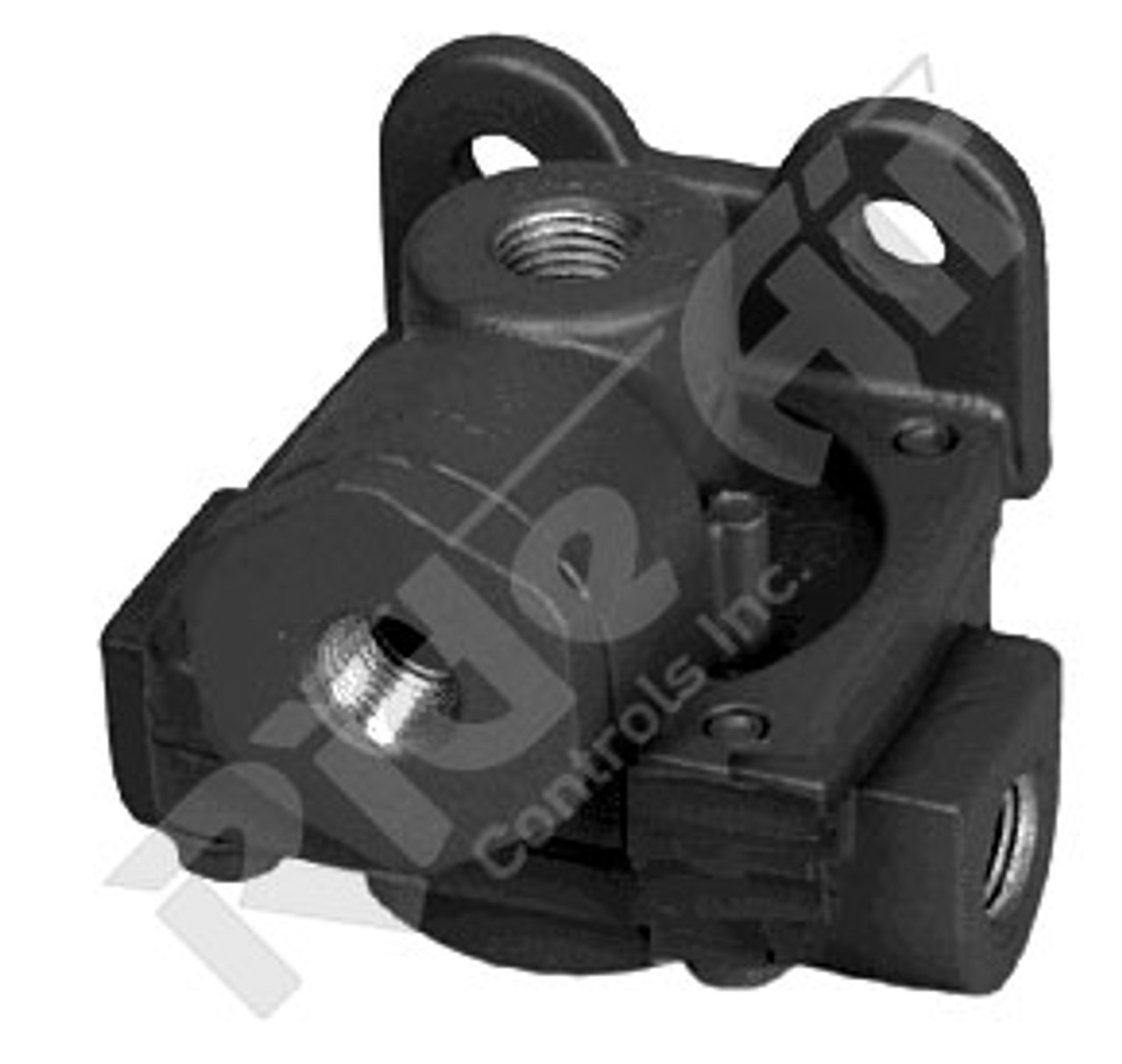 Quick Release/Check Valve (1C) (RV289714)