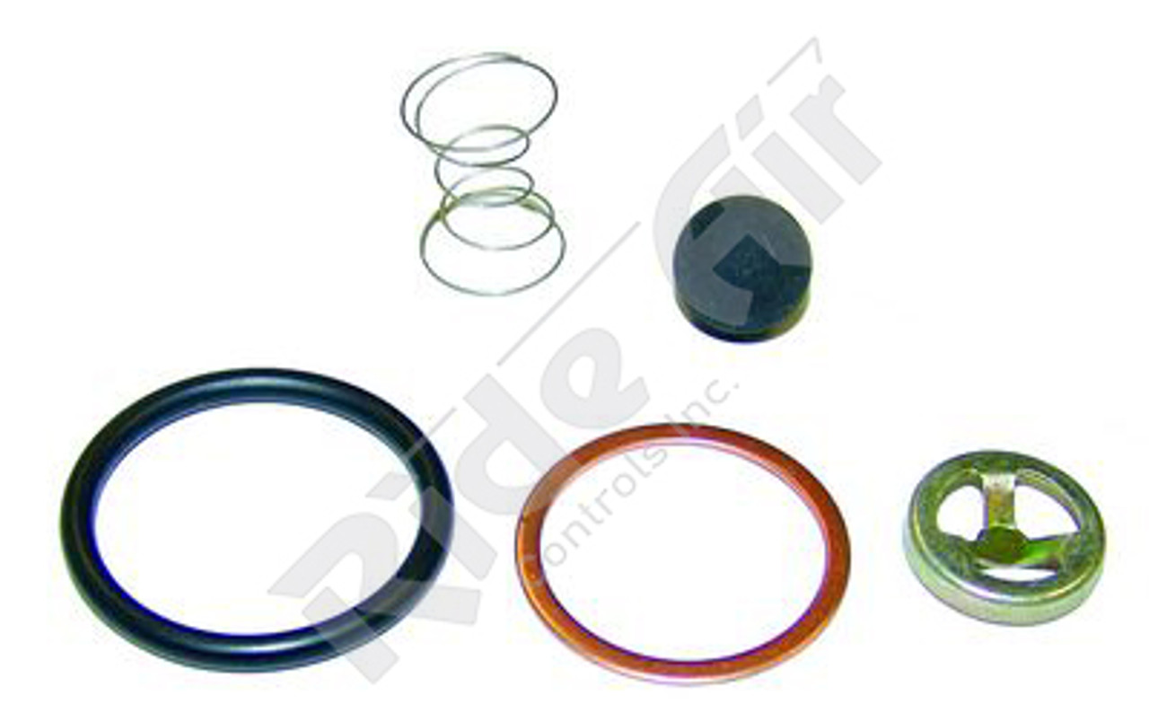 Model 2 Check Valve Kit (Early Style) (287298-G3)
