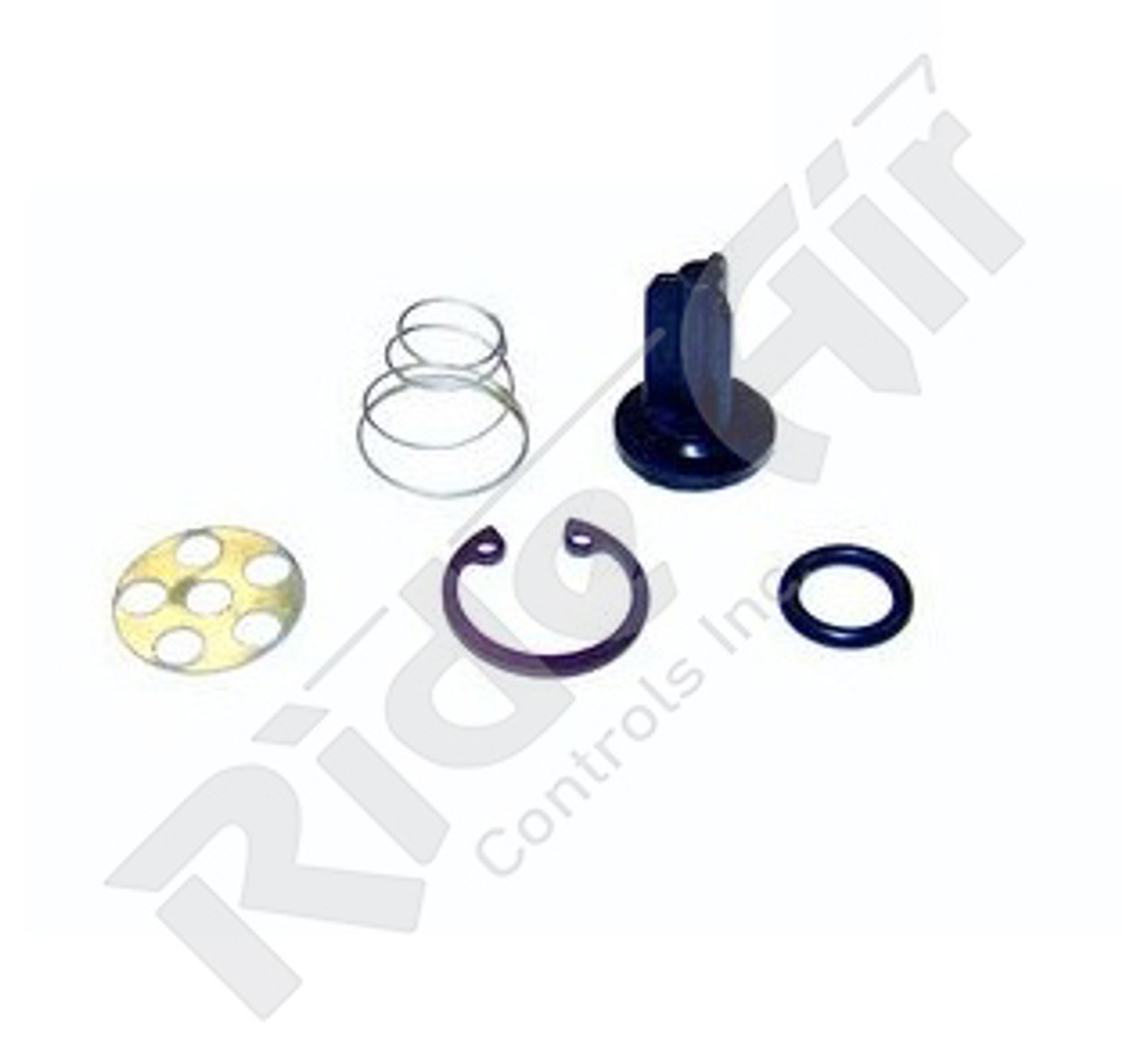 System Saver Dryer Check Valve Kit (R950017-G3)