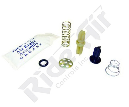 Model IP Check Valve Kit (109494-G3)