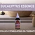OKAY Pure Naturals Black Jamaican Castor Oil with Eucalyptus - 4 oz / 188 ml