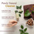 amazon:71p7vTvehtL