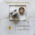 amazon:619NQ36-HPL