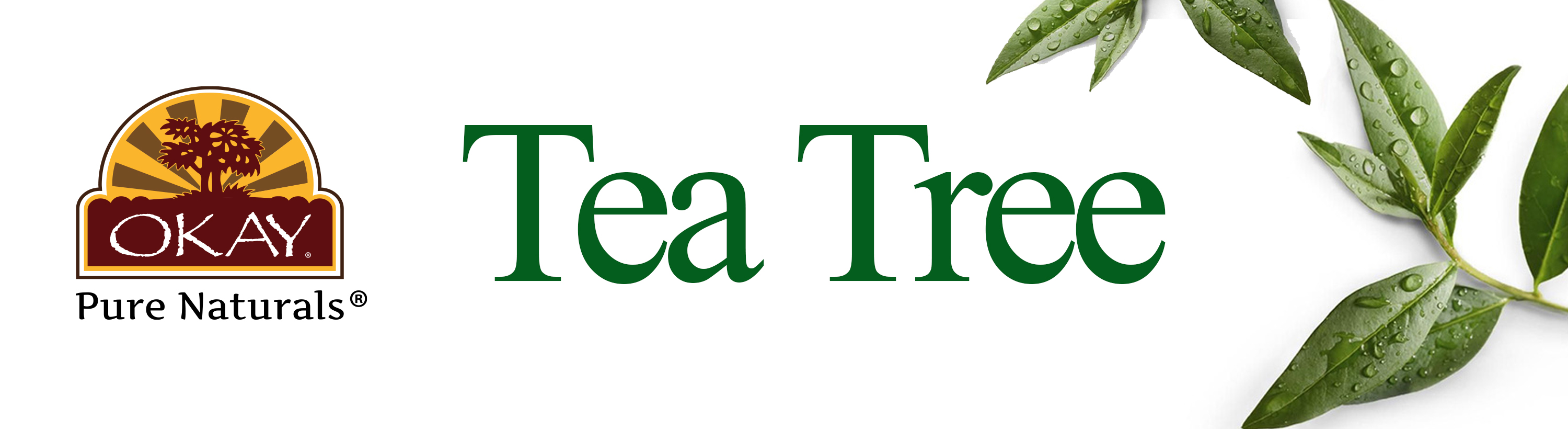 tea-tree.jpg