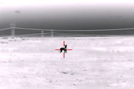 The Art of Coyote Calling: Building a Strategy with Armasight