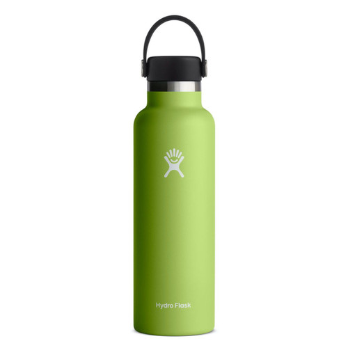 HYDRO FLASK 21OZ STD MOUTH FLEX CAP BOTTLE SEAGRASS